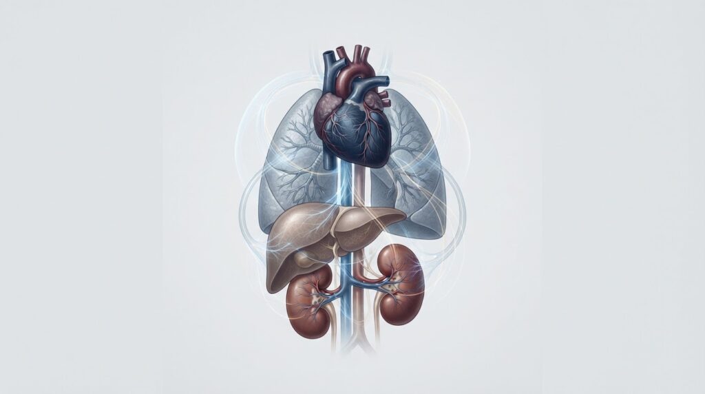 When Several Conditions Occur Together: Understanding the Complexity of Adult Medicine